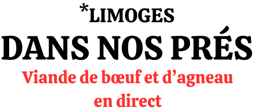 DANS NOS PRES LIMOGES